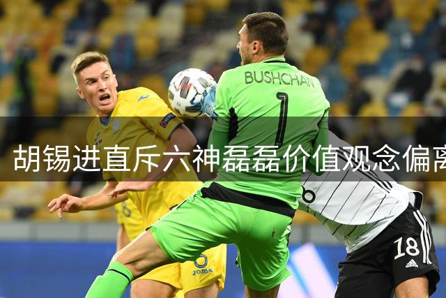 胡锡进直斥六神磊磊价值观念偏离公众